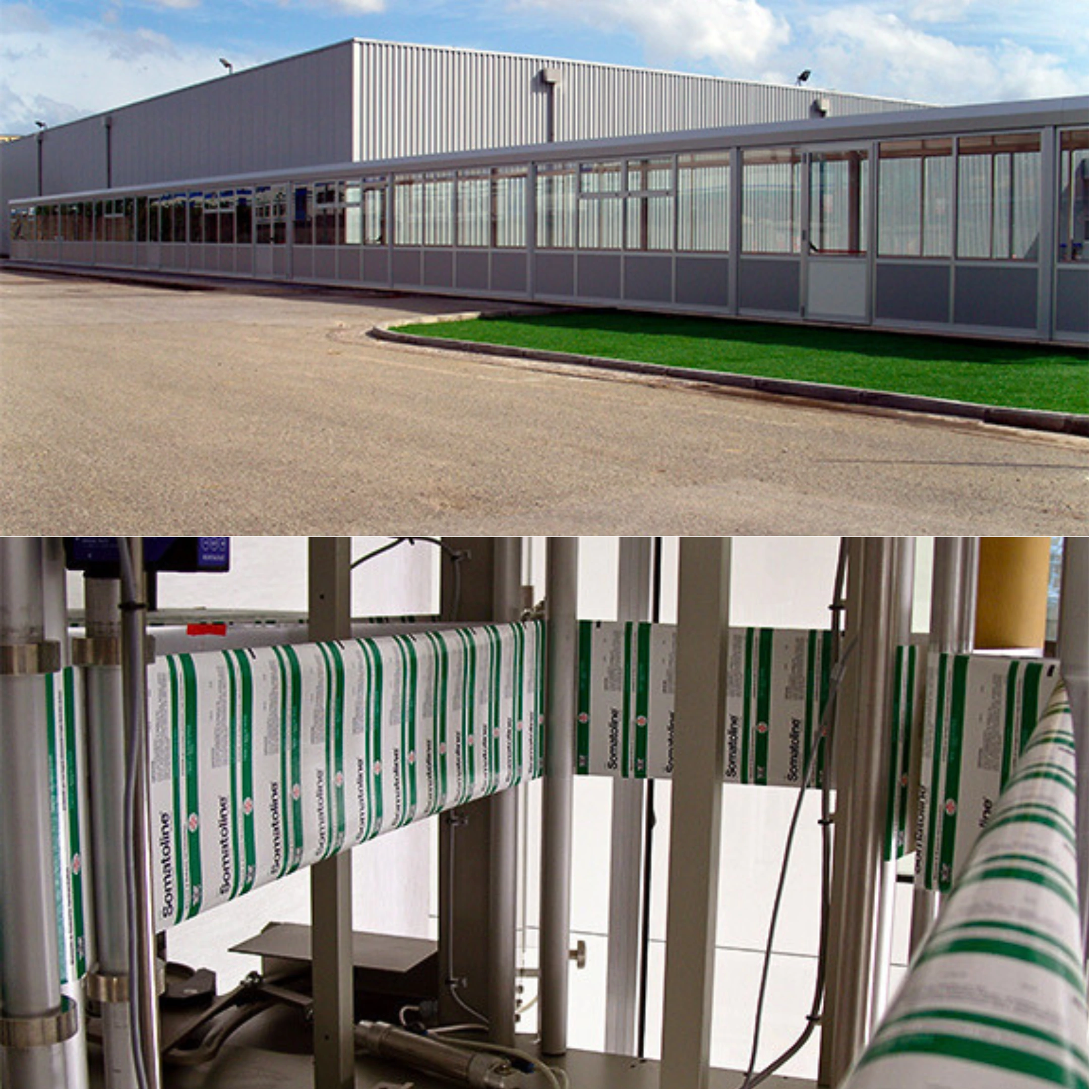 L'azienda